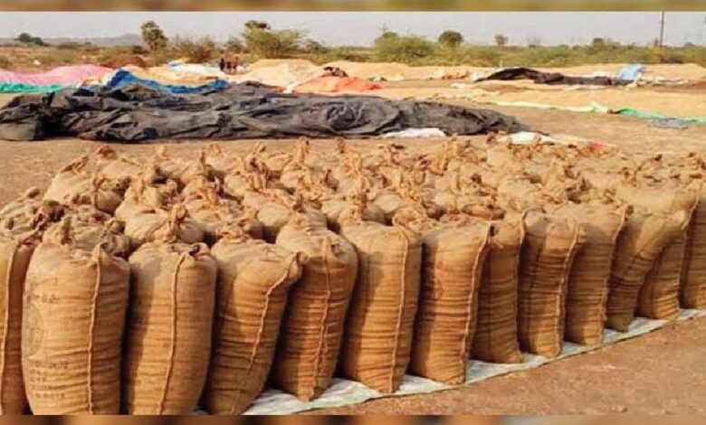 प्रदेश-के-अन्नदाताओं-की-समृद्धि-के-लिए-प्रतिबद्ध-डबल-इंजन-सरकार-:-चावल-उपार्जन-लक्ष्य-में-8-लाख-मीट्रिक-टन-की-वृद्धि