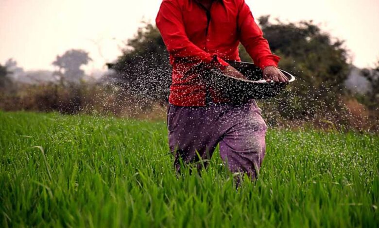 पीएम-किसान-योजना:-20वीं-किस्त-कब-आएगी?-जानें-ई-केवाईसी-की-प्रक्रिया