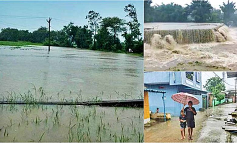 मध्य-प्रदेश-के-कई-जिलों-में-भारी-बारिश-का-अलर्ट,-जनजीवन-अस्त-व्यस्त