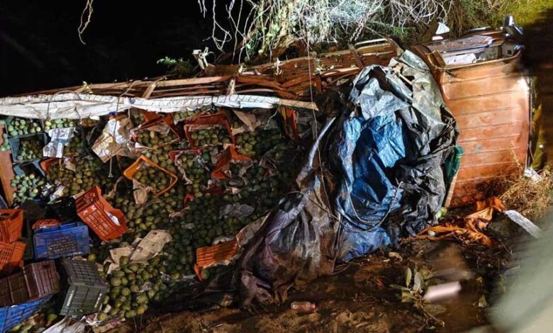 आंध्र-प्रदेश-में-भीषण-हादसा:-आमों-से-लदा-ट्रक-पलटा,-9-मजदूरों-की-मौत,-10-घायल