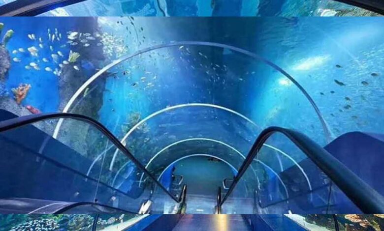 भोपाल-में-बन-रहा-40-करोड़-का-एक्वा-पार्क,-3d-इंटरेक्टिव-जोन-और-वॉटर-टनल-से-होगा-रोमांच