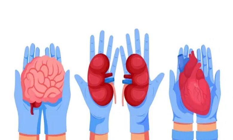 अब-मेडिकल-कॉलेजों-में-भी-संभव-होगा-ब्रेन-डेड-मरीजों-से-अंगदान,-महिलाओं-को-मिलेगी-वेटिंग-लिस्ट-में-प्राथमिकता