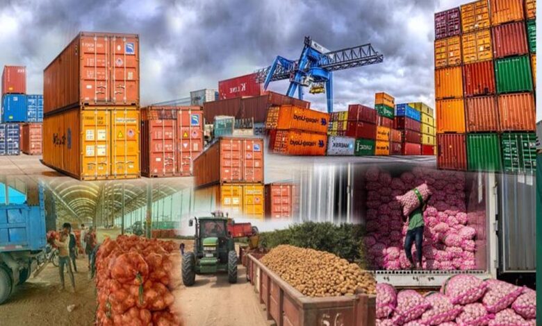 खेती-से-थाली-तक-खतरा:-विदेशी-कृषि-आयात-से-कैसे-बचाए-भारत-के-किसान?