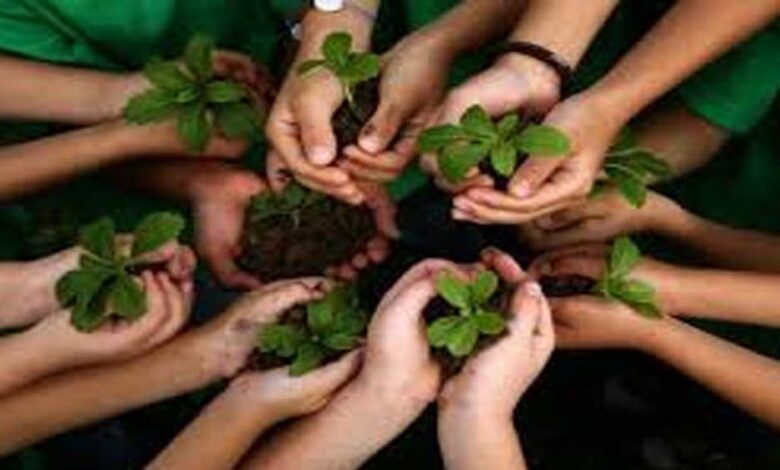 शहरी-क्षेत्र-में-वीमेन-फॉर-ट्रीज-अभियान-में-7-हजार-स्व-सहायता-समूहों-का-योगदान,-अब-तक-हुआ-ढ़ाई-लाख-पौधरोपण