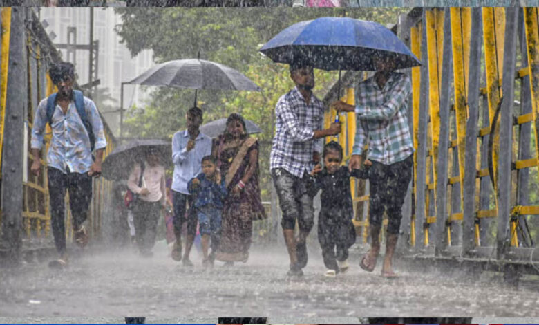 mp-के-13-जिलों-में-आज-भारी-बारिश-का-अलर्ट,-अब-तक-79%-बरसा-सीजन-का-पानी