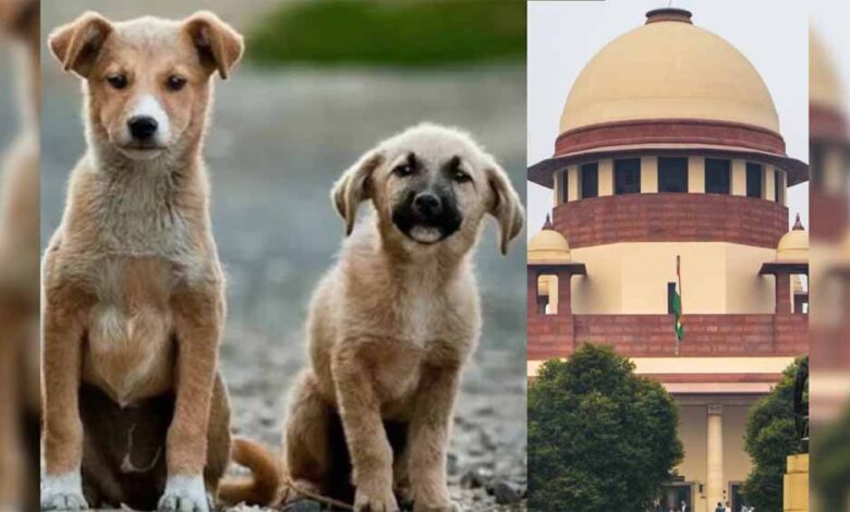 दिल्ली-NCR में कुत्तों से जुड़ा मामला अब CJI की निगरानी में