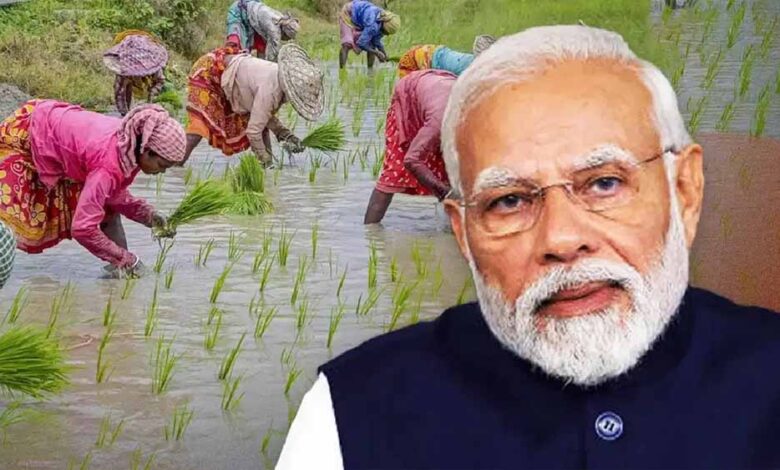 किसानों-ने-सराहा-pm-मोदी-का-निर्णय,-कृषि-बाज़ार-बचाने-के-लिए-धन्यवाद