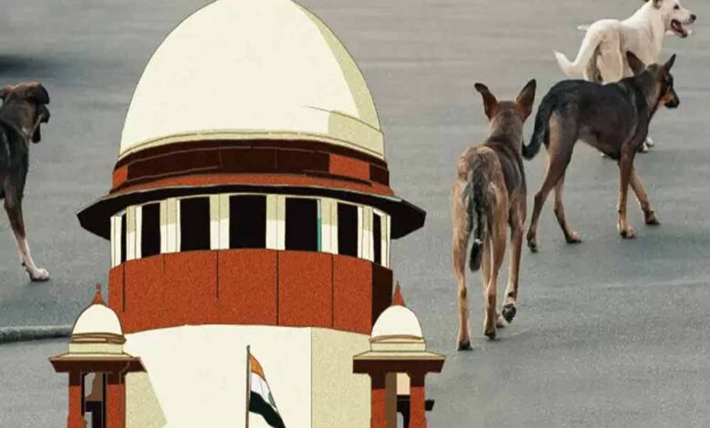शेल्टर-होम-में-सिर्फ-आक्रामक-कुत्ते-रखे-जाएंगे,-बाकी-को-छोड़ा-जाएगा:-सुप्रीम-कोर्ट