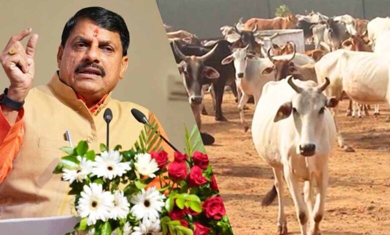 पशुपालन-से-किसानों-की-बढ़ेगी-आय,बनेंगे-आत्मनिर्भर:मुख्यमंत्री-डॉ.-मोहन-यादव