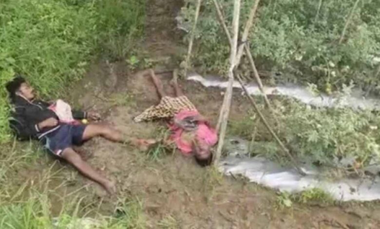 टमाटर-चोरी-करने-पहुंचे-पिता-पुत्र-की-करंट-लगने-से-दर्दनाक-मौत
