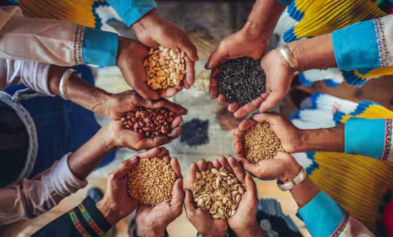 mp-के-तीन-जिलों-में-खुलेगा-oil-seed-hub,-किसानों-को-मिलेगा-उन्नत-बीज-और-तकनीक-का-लाभ