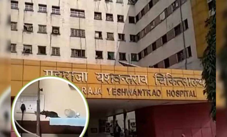 इंदौर-my-अस्पताल-में-दो-नवजातों-पर-चूहों-का-हमला,-पहले-भी-हो-चुकी-ऐसी-घटनाएं