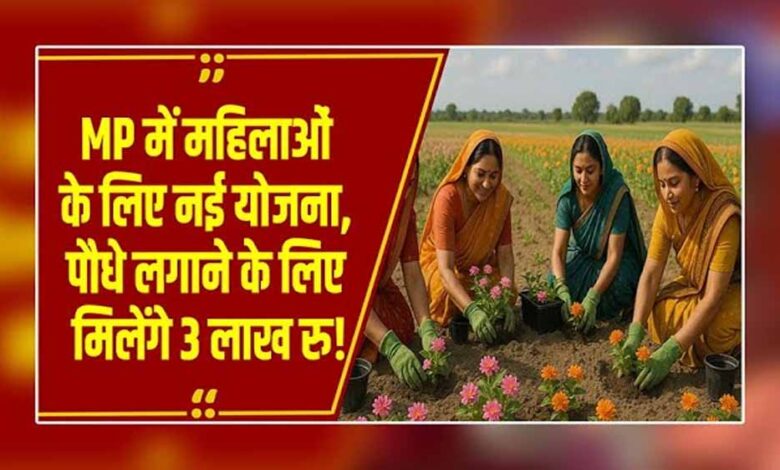 मोहन-सरकार-की-नई-पहल:-‘एक-बगिया-मां-के-नाम’,-महिलाओं-के-खाते-में-सीधे-मिलेगा-सब्सिडी-पैसा