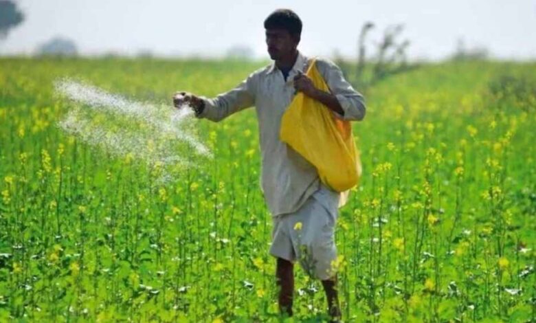 mp-में-धान-बोआई-बढ़ी,-यूरिया-संकट-गहराया:-खाद-के-लिए-कतारों-में-किसान