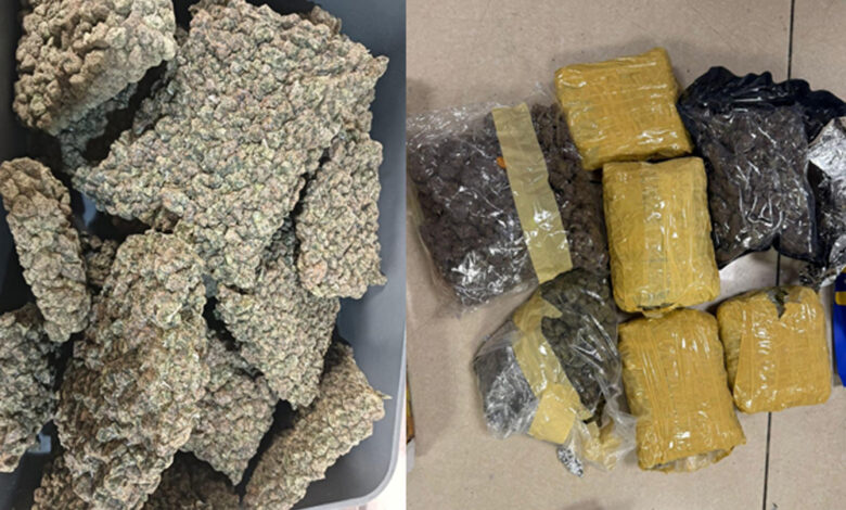 मुंबई-एयरपोर्ट-पर-कस्टम्स-का-बड़ा-ऑपरेशन,-33.42-किलो-हाइड्रोपोनिक-वीड-जब्त