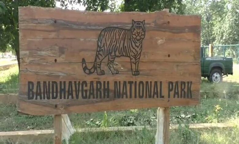 बांधवगढ़-टाइगर-रिजर्व-में-7-दिनों-तक-फ्री-सफारी,-17-23-दिसंबर-तक-ज्वालामुखी-गेट-से-एंट्री-मुफ्त