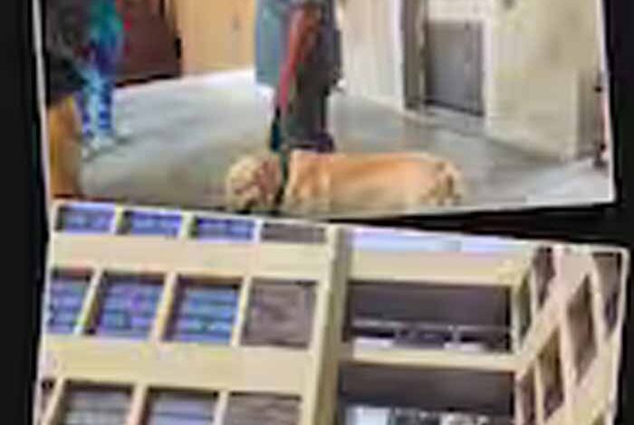 ‘हम-बदला-लेंगे’-की-धमकी-से-हड़कंप:-अहमदाबाद-के-स्कूलों-को-निशाना-बनाने-वाले-खालिस्तानी-कौन?-पुलिस-को-क्यों-है-शक