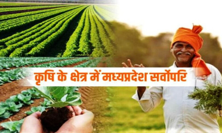 प्रधानमंत्री-मोदी-एवं-मुख्यमंत्री-डॉ.-यादव-के-नेतृत्व-में-कृषि-के-क्षेत्र-में-प्रदेश-लगातार-कर-रहा-प्रगति-–-कृषि-मंत्री-कंषाना