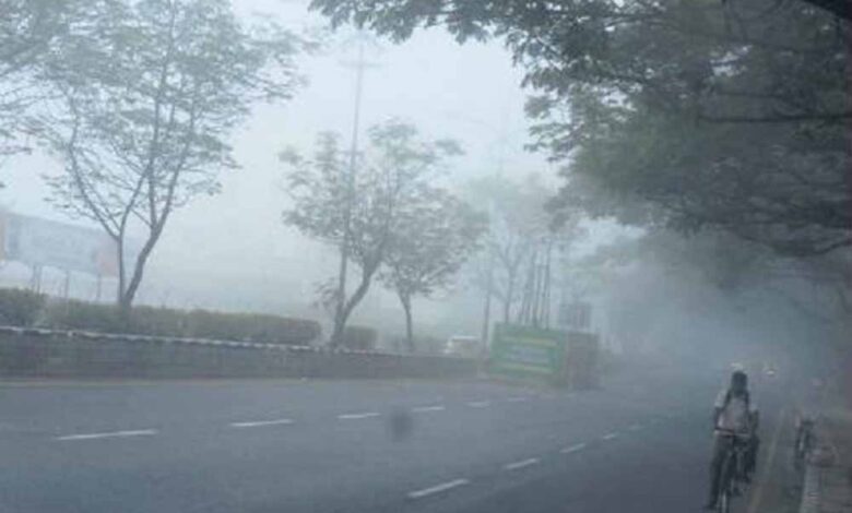 mp-weather-alert:-ग्वालियर-चंबल-समेत-20-जिलों-में-घना-कोहरा,-ऑरेंज-येलो-अलर्ट-जारी
