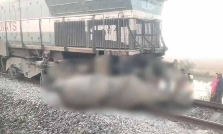 राजधानी-एक्सप्रेस-हादसा:-8-हाथियों-की-मौत,-5-डिब्बे-पटरी-से-उतरे