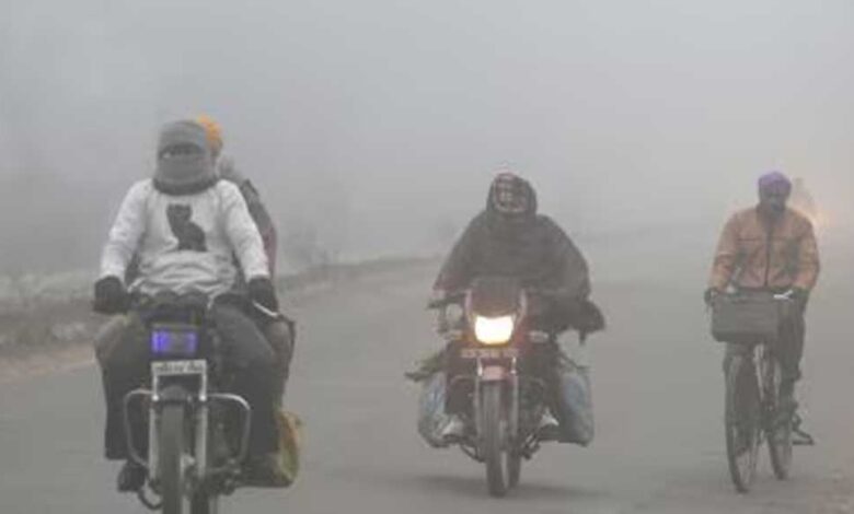 एमपी-में-कोहरे-और-सर्दी-का-कहर:-दतिया-रीवा-में-50-मीटर-विजिबिलिटी,-पचमढ़ी-सबसे-ठंडा