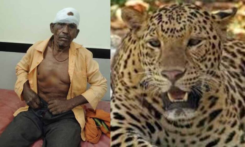 ग्रामीण-पर-तेंदुए-का-हमला,-जंगल-से-नीम-की-पत्तियां-लेने-गया-था