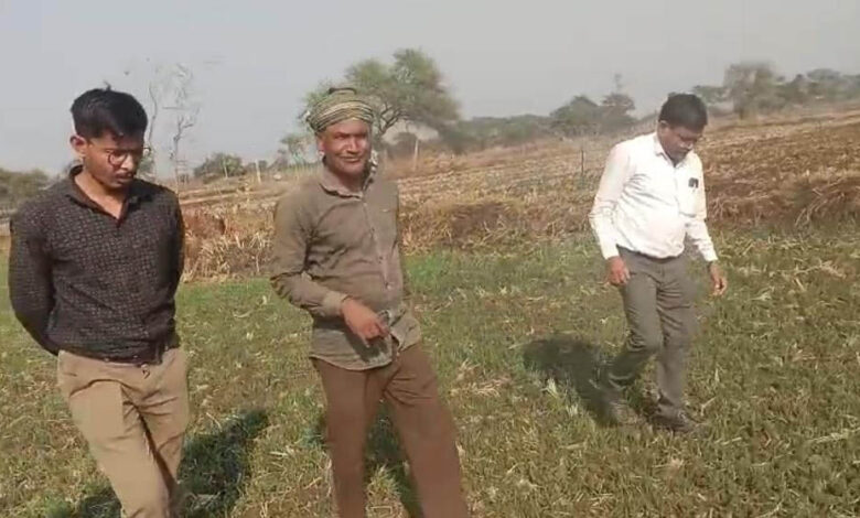 धमतरी-:-धमतरी-जिले-में-फसल-चक्र-परिवर्तन-एवं-मृदा-स्वास्थ्य-सुदृढ़ीकरण-की-दिशा-में-महत्वपूर्ण-पहल