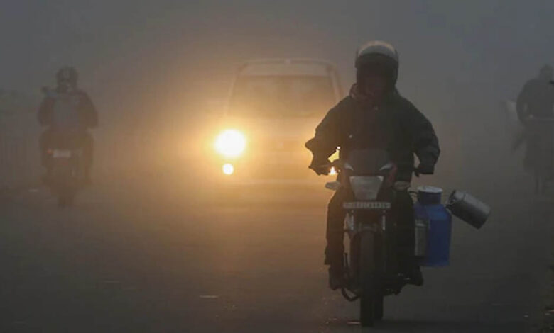 mp-में-कोहरे-और-ठंड-से-रेल-यात्री-परेशान,-ट्रेनें-7-घंटे-तक-लेट;-जनवरी-में-शीतलहर-और-बारिश-के-आसार