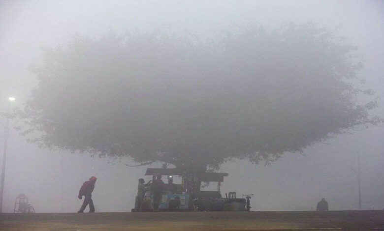 मध्य-प्रदेश-में-ठंड-का-डबल-अटैक:-कोहरे-के-साथ-शीतलहर,-दिन-भी-रात-की-तरह-ठंडे