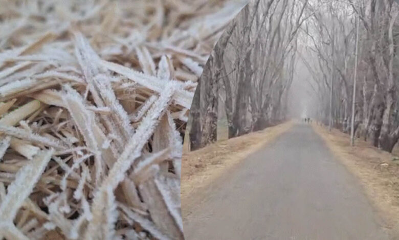 छत्तीसगढ़-के-18-जिलों-में-शीतलहर-का-अलर्ट,-अंबिकापुर-में-पारा-3.5°c,-हिमालयी-हवाओं-से-बढ़ी-कंपकंपी