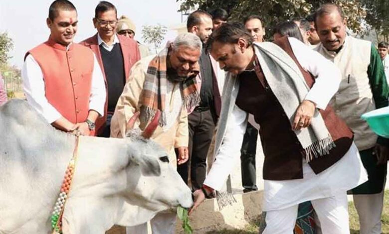 उप-मुख्यमंत्री-शुक्ल-ने-बसामन-मामा-गौवंश-वन-विहार-में-ऋषि-कुलम-का-किया-भूमिपूजन