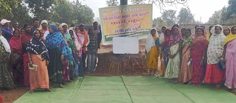 50-वर्षों-बाद-धमतरी-के-आदिवासी-अंचल-में-रबी-खेती-की-वापसी