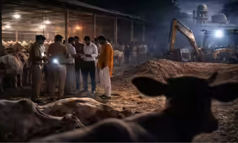 स्लॉटर-हाउस-कांड:-दुधारू-भैंसों-को-काटने-का-चौंकाने-वाला-सच,-बछड़े-और-पाड़ों-के-अवशेष-मिले