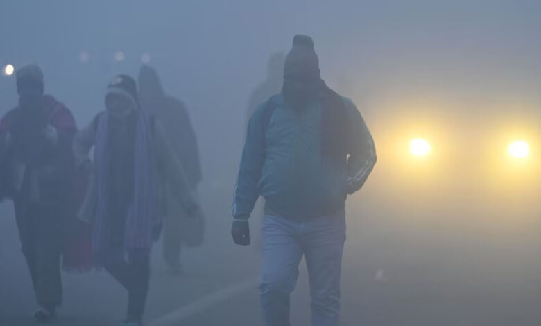 mp-weather-update:-प्रदेश-में-तेज-ठंड-और-कोहरे-का-असर,-संक्रांति-के-बाद-मावठा-गिरने-के-आसार