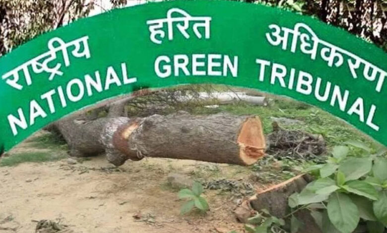 मध्य-प्रदेश-में-15-लाख-पेड़ों-की-कटाई-पर-ngt-का-सवाल,-वन-महानिदेशक-से-मांगा-जवाब