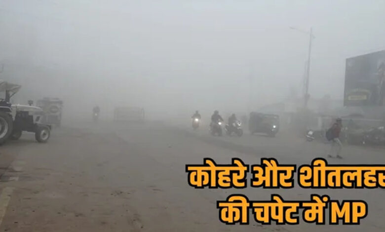 मध्य-प्रदेश-में-ठंड-और-कोहरे-का-कहर,-दो-चक्रवात-के-पास-से-गुजरने-से-मौसम-भारी