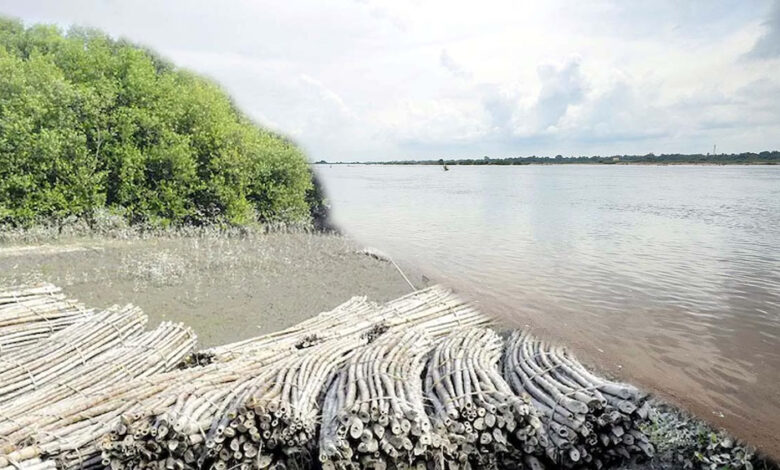 गंगा-से-ब्रह्मपुत्र-गोदावरी-तक-खतरे-में-इलाके,-23-करोड़-लोग-डूबने-के-जोखिम-में