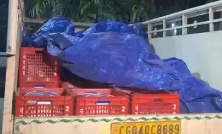 रायगढ़-में-ग्रामीणों-ने-पकड़ा-नकली-दही,-असली-के-पैकेट-में-पिकअप-से-सप्लाई