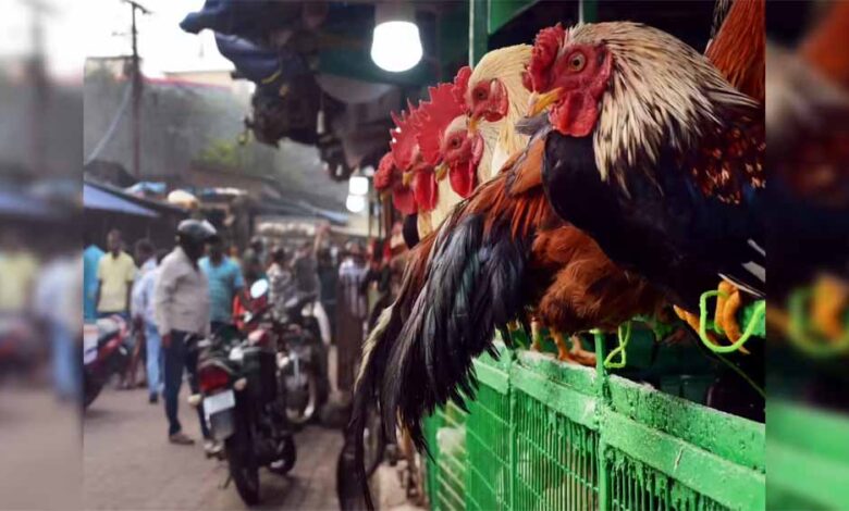 कोरापुट-में-यू-टर्न:-गणतंत्र-दिवस-पर-मांस-बिक्री-रोकने-का-आदेश-प्रशासन-ने-लिया-वापस