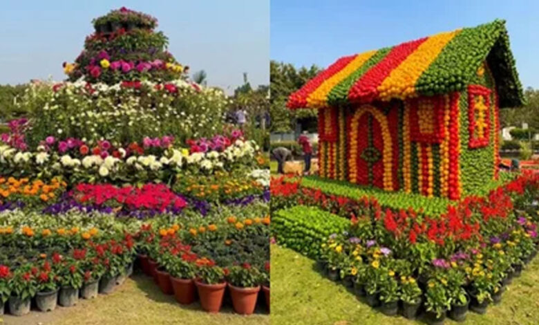 वाइब्रेंट-की-थीम-पर-होगा-राज्य-स्तरीय-पुष्प-महोत्सव,-प्रदेश-में-उत्पादित-फूलों-की-विभिन्न-किस्मों-का-होगा-प्रदर्शन