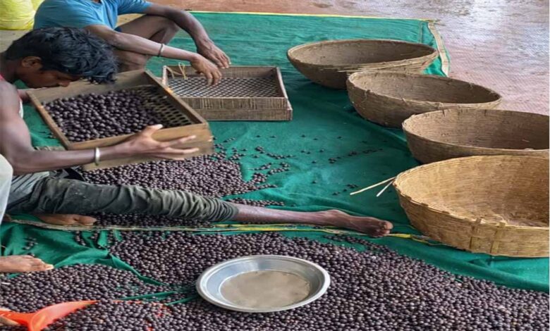 छत्तीसगढ़-में-मखाना-उत्पादन-को-प्रोत्साहन