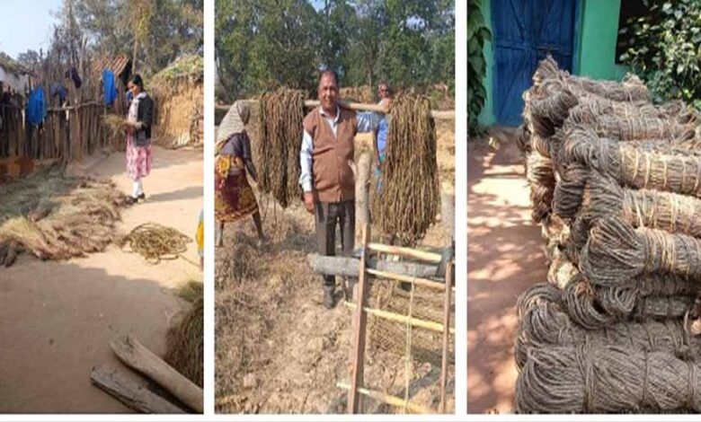 सबई-घास-से-बनी-रस्सी-बनी-आजीविका-का-साधन