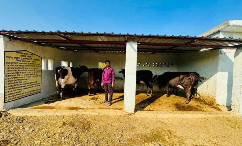 महिला-शक्ति-के-दम-पर-वनोपज-से-आर्थिक-मजबूती,-हरिबोल-समूह-की-सफलता