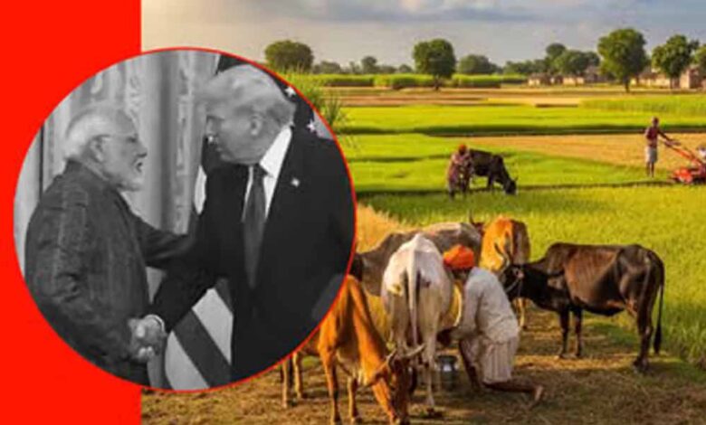 भारत-ने-कृषि-और-डेयरी-सेक्टर-पर-सुरक्षा-कवच-लगाया,-अमेरिका-को-नहीं-दी-कोई-ढील;-देखें-पूरी-लिस्ट