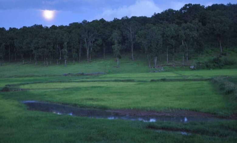 प्रकृति,-संस्कृति-और-मनोरंजन-का-त्रिवेणी-संगम