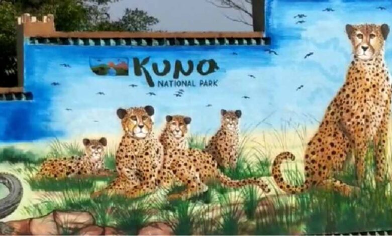 बोत्स्वाना-से-28-फरवरी-को-कूनो-पहुंचेंगे-8-चीते