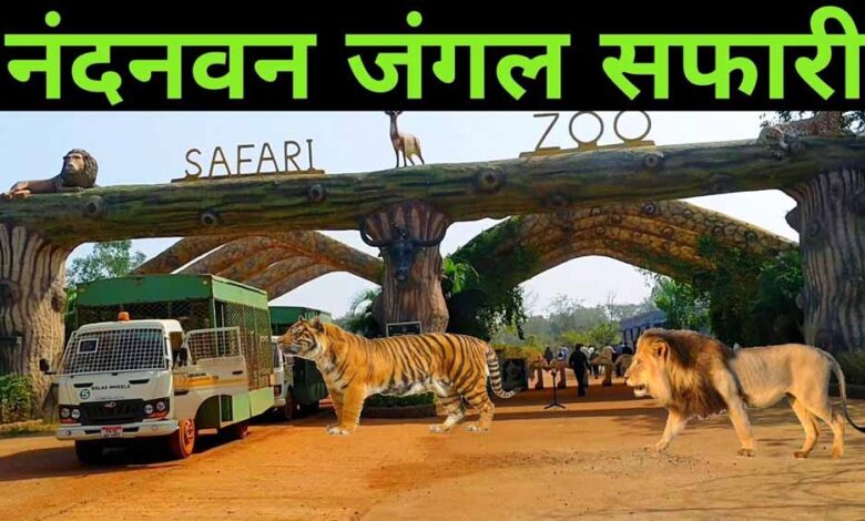 होली-पर-जंगल-सफारी-का-प्लान-बना-रहे-हैं?-3-मार्च-से-कुछ-दिनों-तक-पर्यटकों-की-एंट्री-रहेगी-बंद