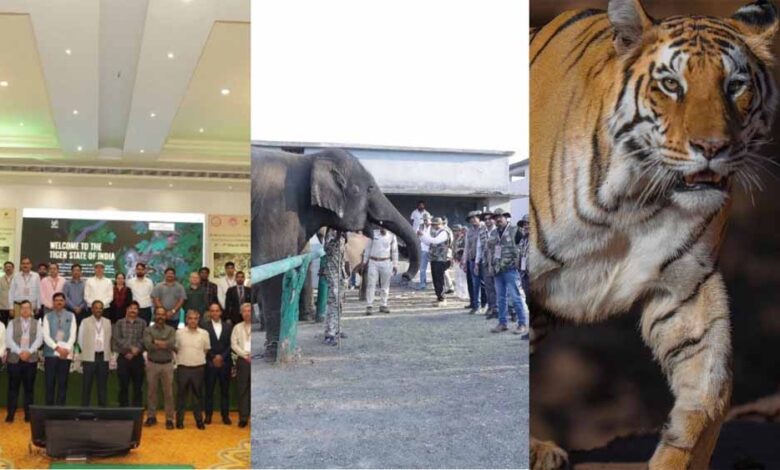 पन्ना-में-mp-का-पहला-वन्यजीव-केंद्रित-csr-कॉन्क्लेव,-संरक्षण-के-लिए-वन-विभाग-उद्योग-जगत-साथ-आए