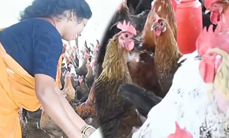 धमतरी-:-आजीविका-मिशन-से-बदली-तस्वीर:-चर्रा-की-योगेश्वरी-देवांगन-बनीं-महिला-सशक्तिकरण-की-प्रेरणा