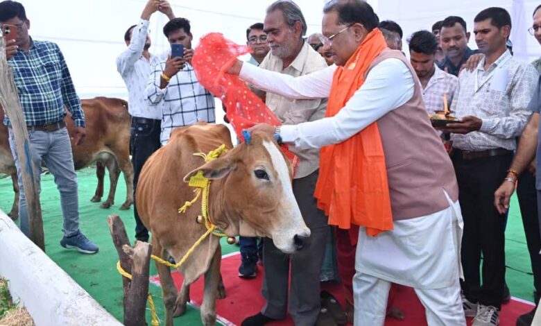राज्य-में-गोधन-संरक्षण-को-नई-दिशा-:-गोमाता-की-पूजा-अर्चना-कर-cm-साय-ने-ग्राम-लाखासार-में-गौधाम-का-किया-शुभारंभ